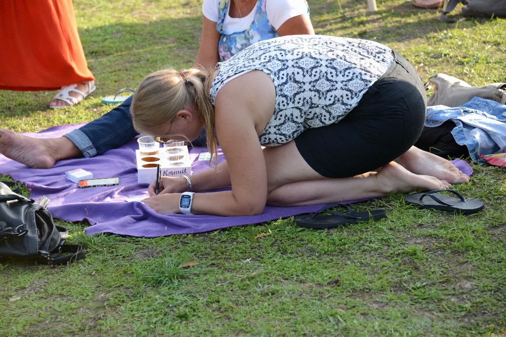 ../Images/Boeren, burgers en buitenlui zaterdag 093.jpg